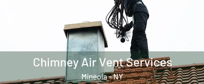  Chimney Air Vent Services Mineola - NY