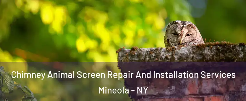  Chimney Animal Screen Repair And Installation Services Mineola - NY