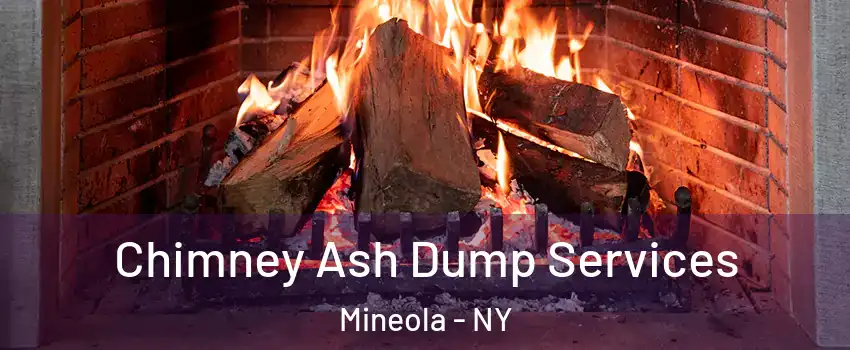  Chimney Ash Dump Services Mineola - NY
