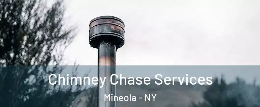  Chimney Chase Services Mineola - NY