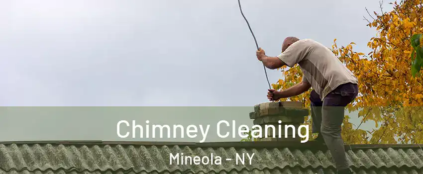  Chimney Cleaning Mineola - NY