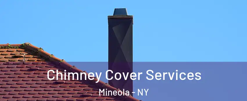  Chimney Cover Services Mineola - NY