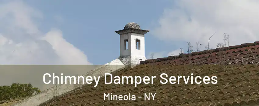  Chimney Damper Services Mineola - NY