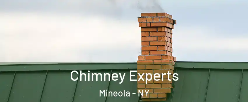  Chimney Experts Mineola - NY