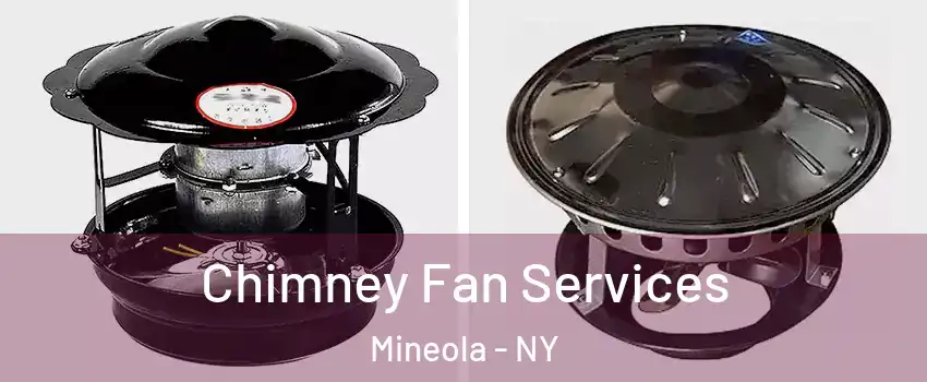  Chimney Fan Services Mineola - NY