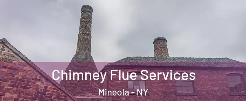  Chimney Flue Services Mineola - NY