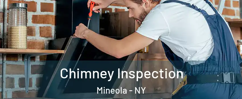  Chimney Inspection Mineola - NY