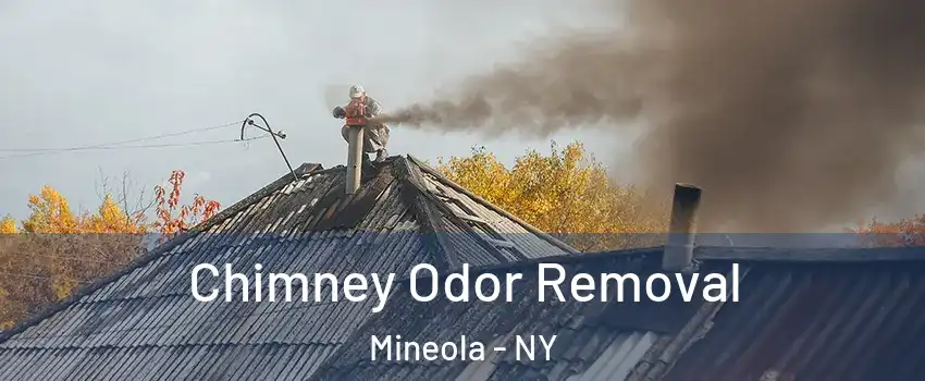  Chimney Odor Removal Mineola - NY