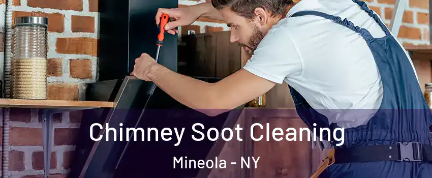 Chimney Soot Cleaning Mineola - NY