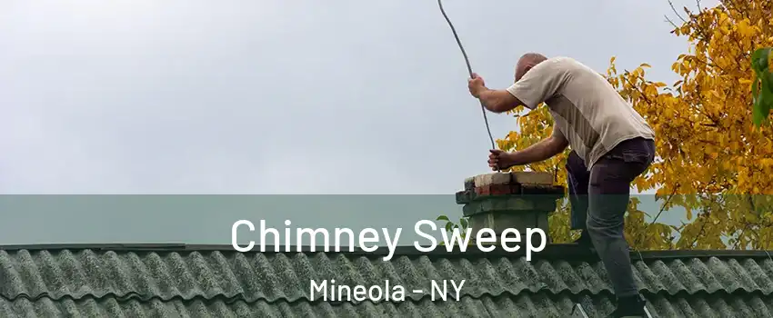  Chimney Sweep Mineola - NY