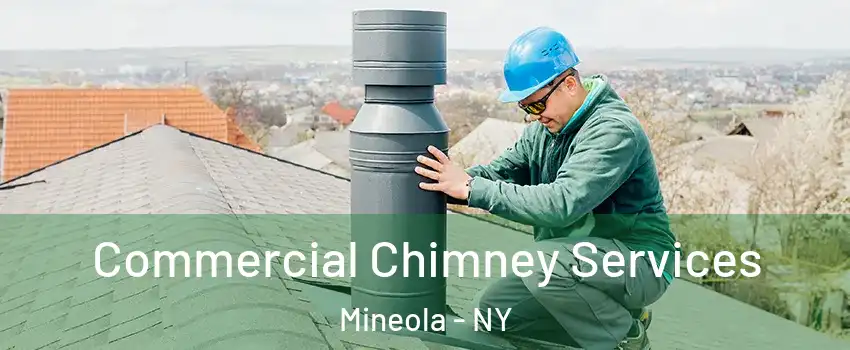  Commercial Chimney Services Mineola - NY