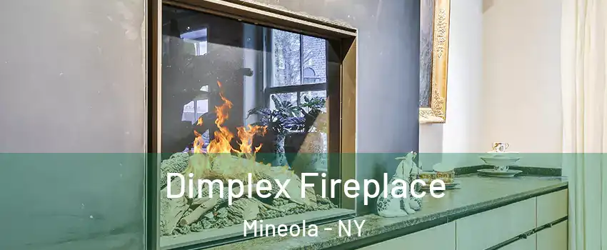  Dimplex Fireplace Mineola - NY
