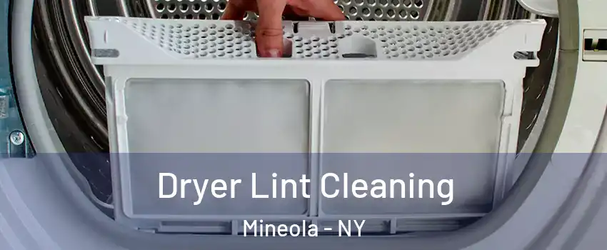  Dryer Lint Cleaning Mineola - NY