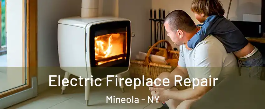  Electric Fireplace Repair Mineola - NY
