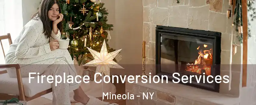  Fireplace Conversion Services Mineola - NY