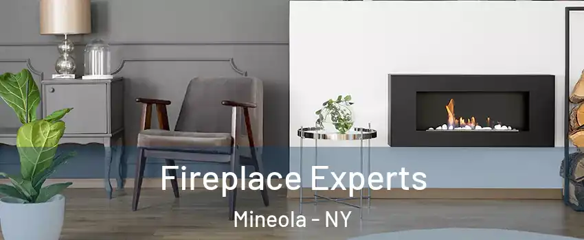  Fireplace Experts Mineola - NY
