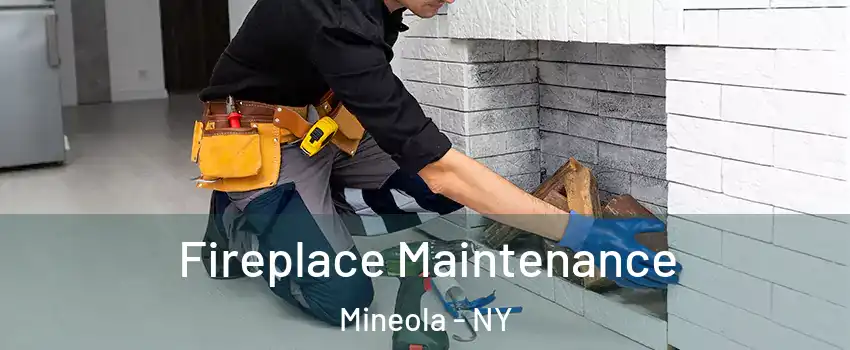  Fireplace Maintenance Mineola - NY