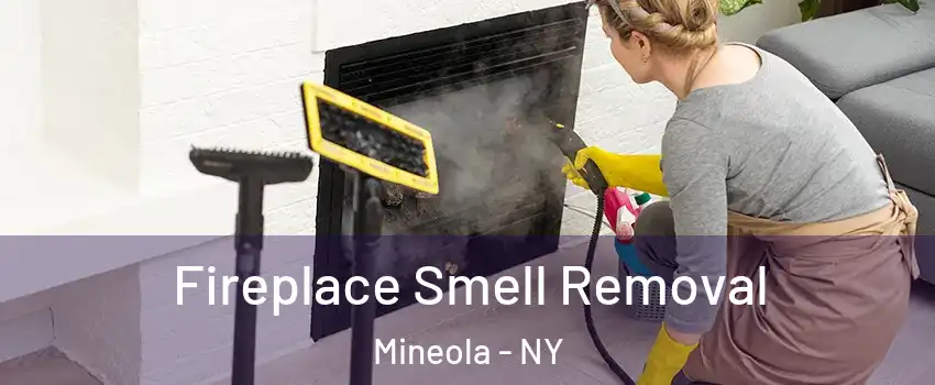  Fireplace Smell Removal Mineola - NY