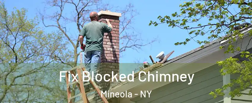  Fix Blocked Chimney Mineola - NY