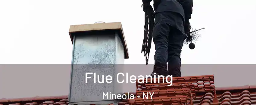  Flue Cleaning Mineola - NY