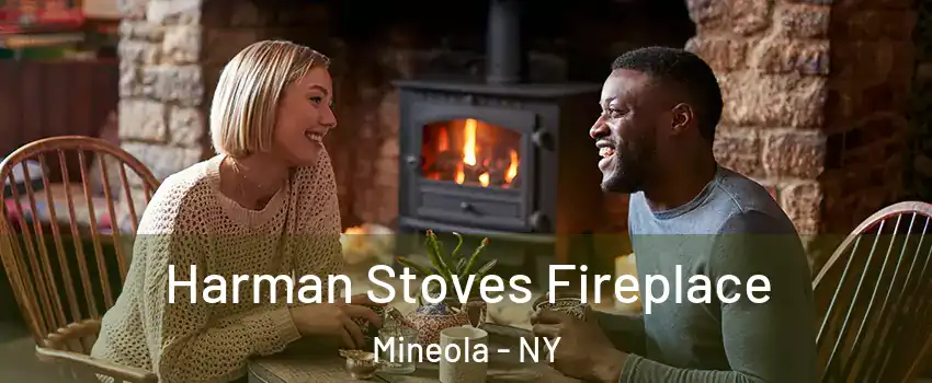  Harman Stoves Fireplace Mineola - NY