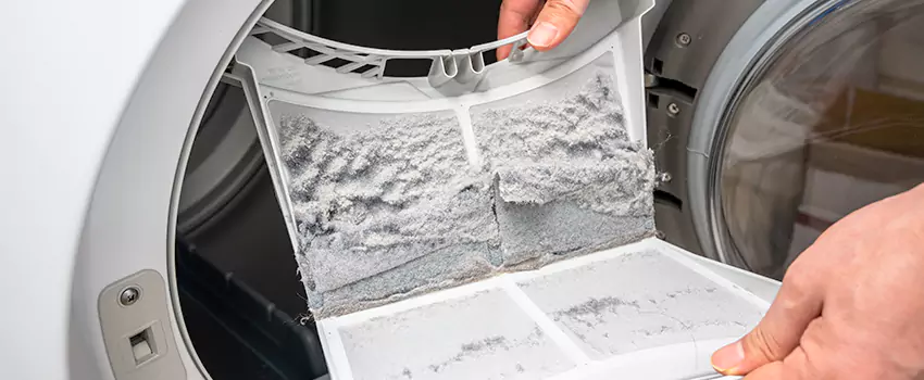 Best Dryer Lint Removal Company in Mineola, New York