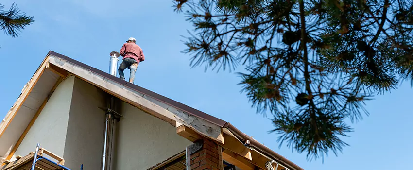 Birds Removal Contractors from Chimney in Mineola, NY