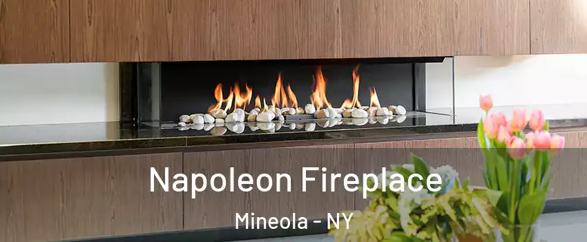  Napoleon Fireplace Mineola - NY