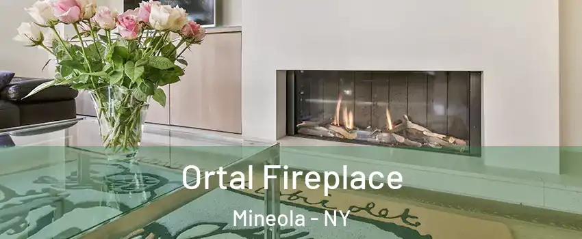  Ortal Fireplace Mineola - NY