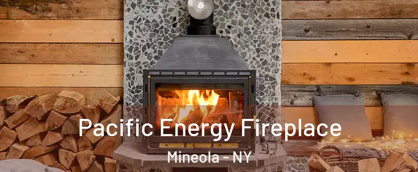  Pacific Energy Fireplace Mineola - NY