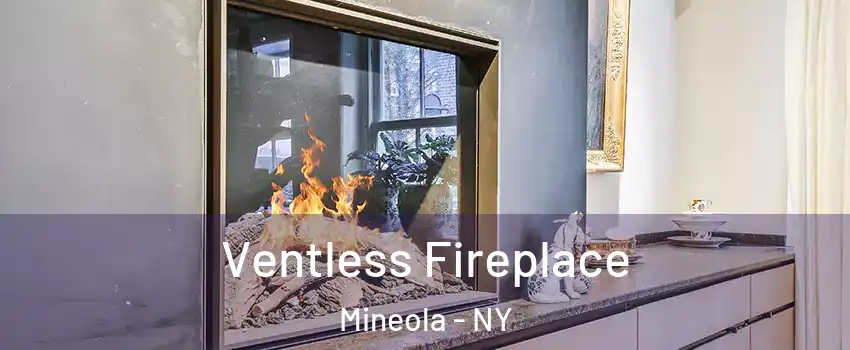  Ventless Fireplace Mineola - NY